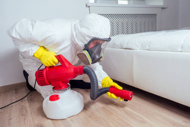 Best Real Estate Pest Inspections  in Caryville, TN